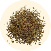 Carrot Seed Oil