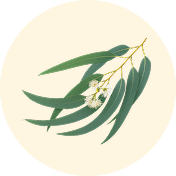EUCALYPTUS LEAF OIL