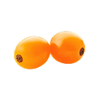 sea buckthorn