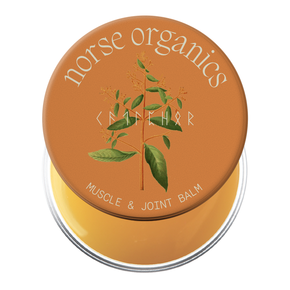 Norse Organics Muscle & Joint Builder Balm jar with botanical camphor lid art over golden balm