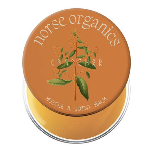 Norse Organics Muscle & Joint Builder Balm jar with botanical camphor lid art over golden balm