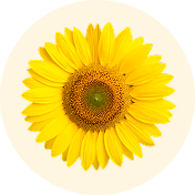 Sunflower Seed Oil