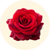 ROSE FLOUR