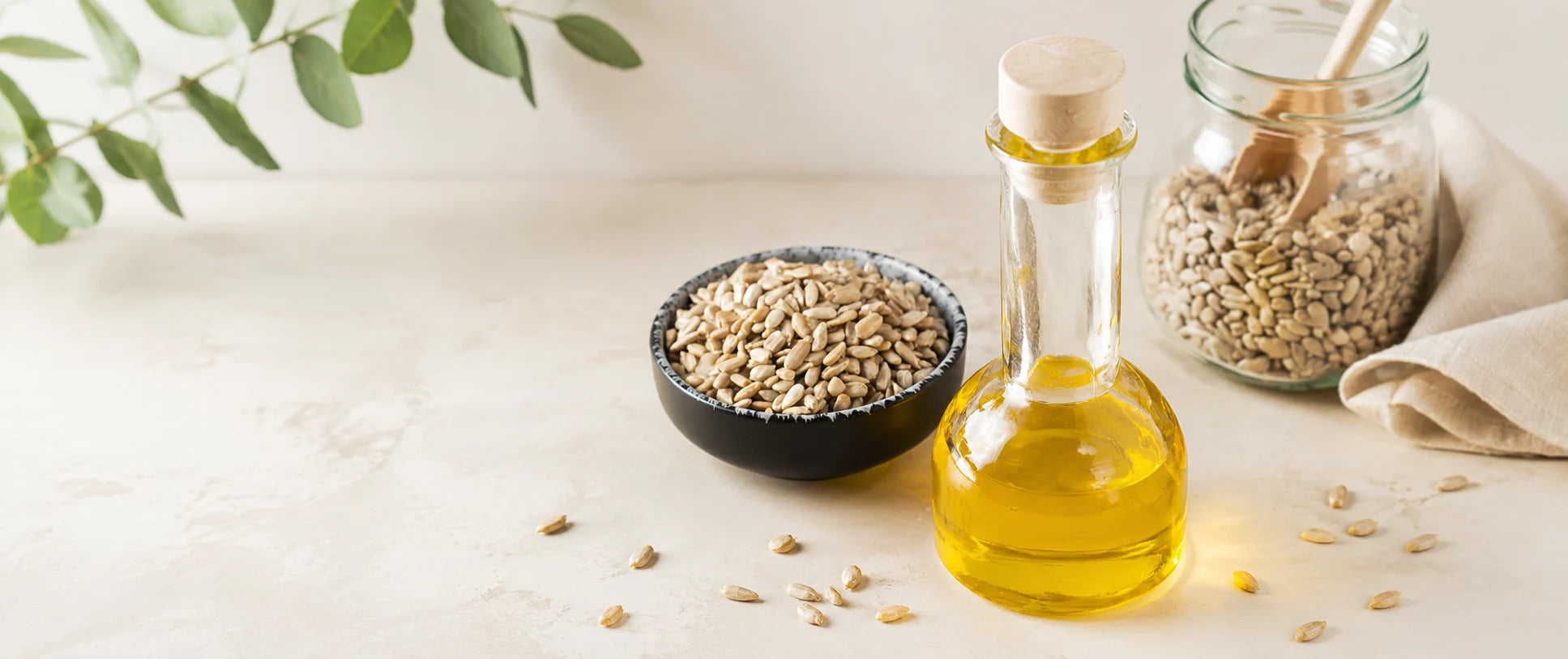 Seed Oils and Acne