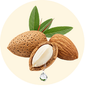 SWEET ALMOND OIL