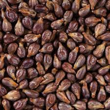 Grapeseeds, the source of grapeseed oil for acne-prone skin